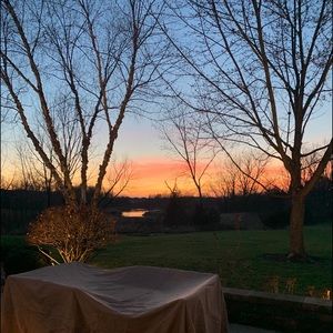 Meet your Posher, Ellie